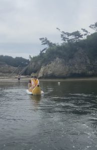 photo1