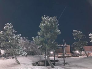 thumbnail_IMG_3023