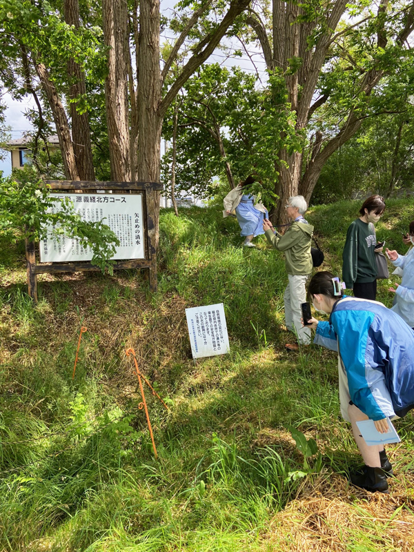 hachinohe2