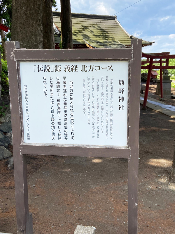 hachinohe7