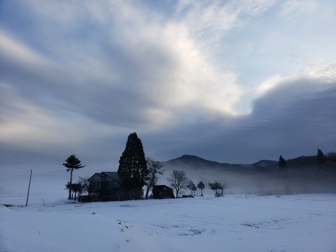 山鼻涼 写真