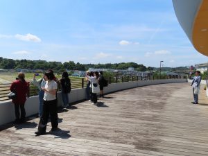IMG_2572